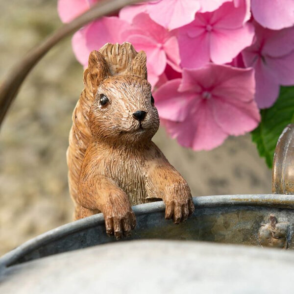Jardinopia Beatrix Potter Pot Buddy Hanger Squirrel Nutkin