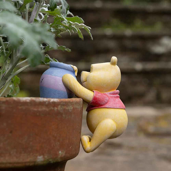 Jardinopia Disney Winnie the Pooh with Hunny Pot Buddie