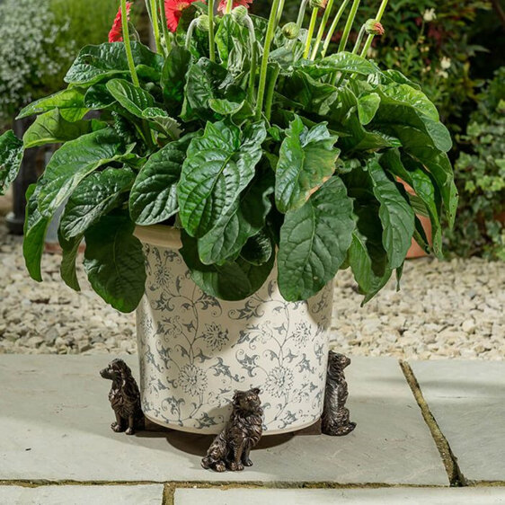 Jardinopia Potty Feet Border Collie Bronze Set of 3 dog garden pot plant
