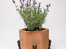 Jardinopia Potty Feet Sitting Cat Bronze Set of 3 garden plant pot