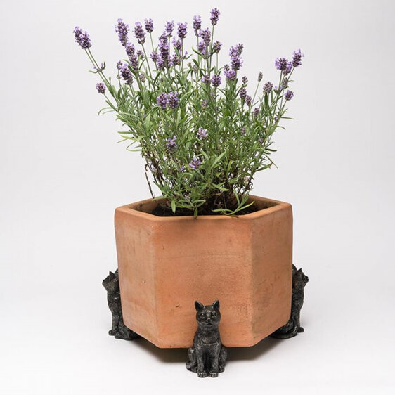 Jardinopia Potty Feet Sitting Cat Bronze Set of 3 garden plant pot