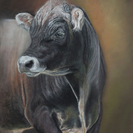 Jersey Bull by Julie Davidson