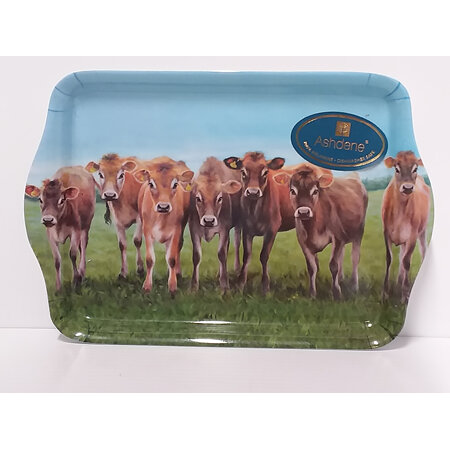 Jersey Cows Small Tray 0839