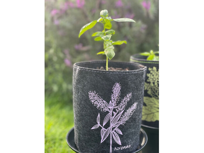 Jo Luping Ecofelt Grow Bag Koromiko NZ artist Eco garden houseplant home gift