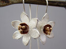 Jonquil Daffodil Flower Stem Earrings  Sterling Silver Julia Banks Jewellery