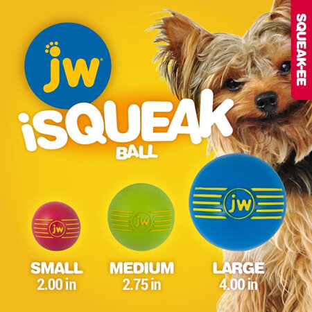 JW Dog -  iSqueak Ball Toy