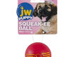 JW Puppy Squeak-ee Ball Toy