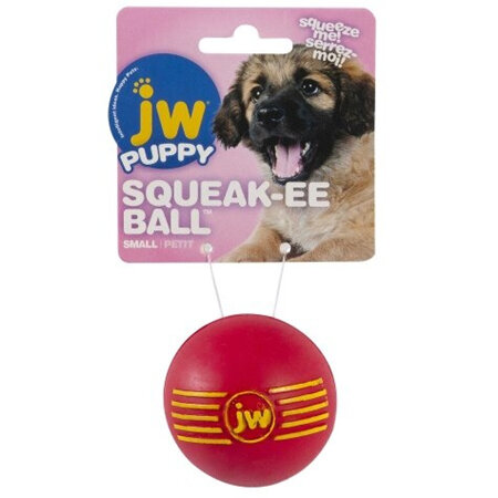JW Puppy Squeak-ee Ball Toy
