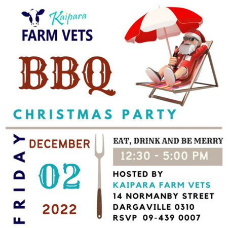 Kaipara Farm Vets BBQ Christmas Party