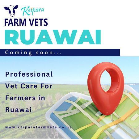 Kaipara Farm Vets Ruawai Coming Soon....