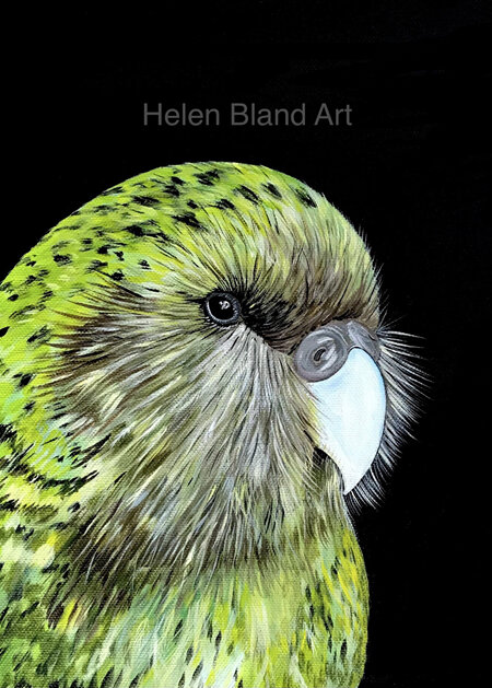Kakapo Print