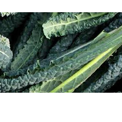 Kale Cert Organic -2 types - 100g