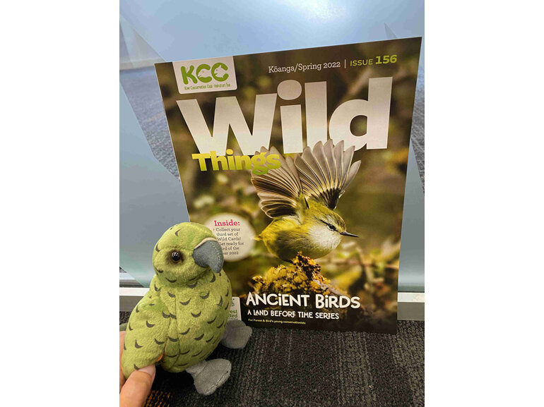 KCC magazine and soft toy