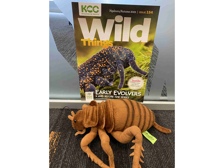 KCC magazine and soft toy