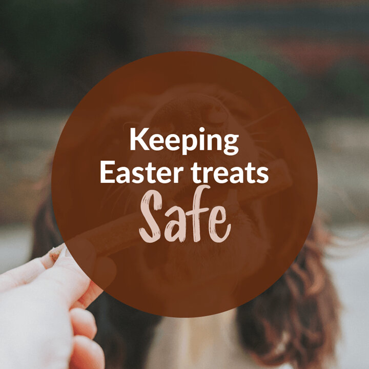 Keeping Easter Treats Safe