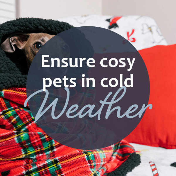 Keeping Your Pets Warm