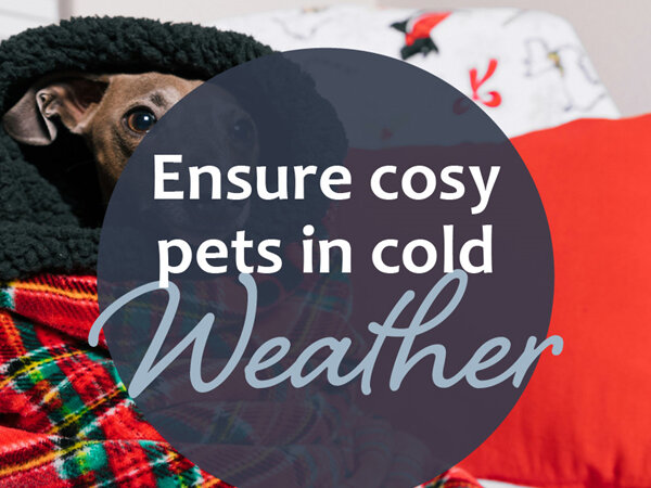 Keeping Your Pets Warm