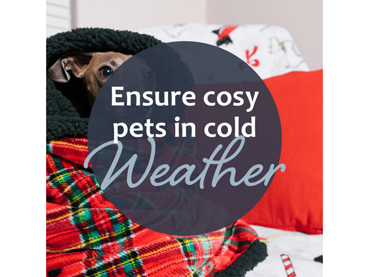 Keeping Your Pets Warm