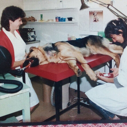 Kelly Nursing 20 years ago
