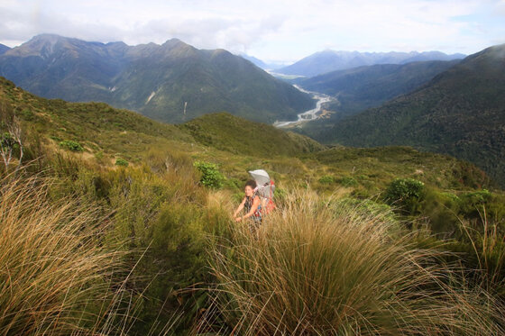 kelly range hiking with a toddler nz