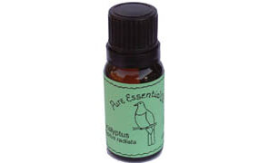 Kereru eucalyptus radiata organic essential oil 12ml