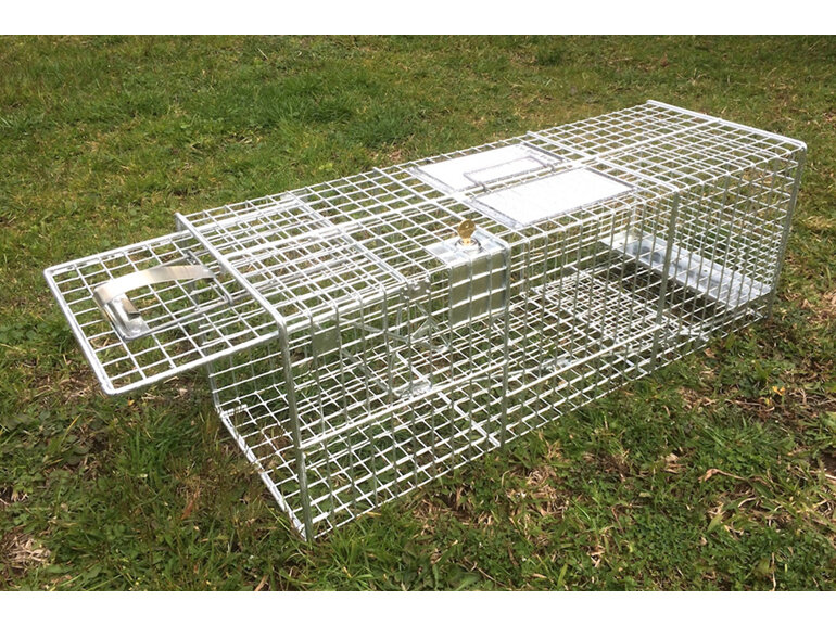 key locking cat cage trap