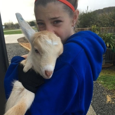 kid goat rearing