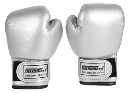 Kids Boxing Gloves - Silver