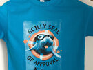 Kids' Scilly Seal Tee - Aqua