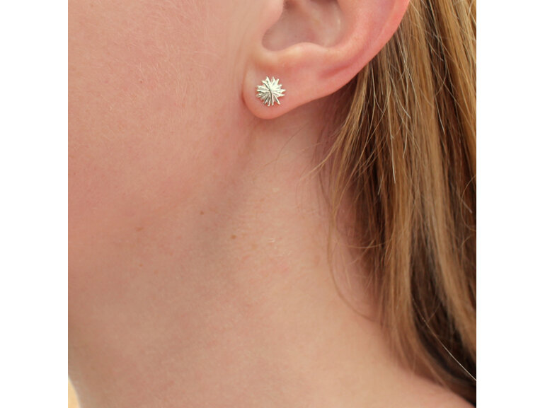 kina sea urchin sterling silver star studs earrings minimal dainty delicate