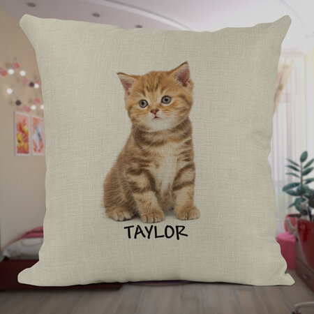 Kitten Personalised Cushion Cover