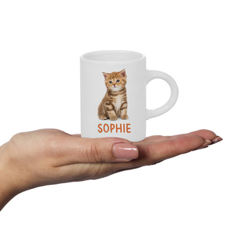 Kitten Personalised Fluffy Mug