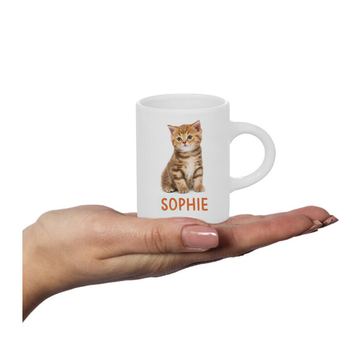 Kitten Personalised Fluffy Mug