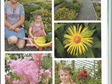 Kiwi Gardener Article