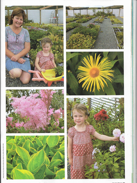 Kiwi Gardener Article