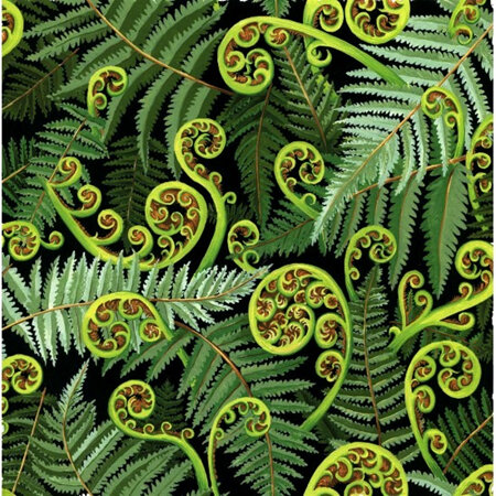 Koru Frond