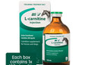 L-CARNITINE 100ML INJECTION