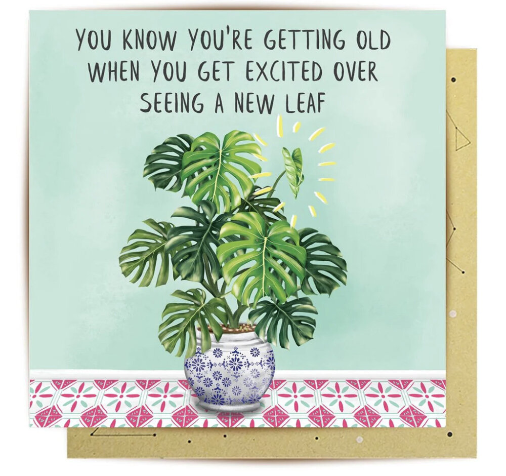 La La Land Excited New Leaf Card Montserrat