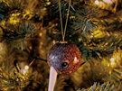 La La Land Kiwi Bauble Christmas Decoration bird tree