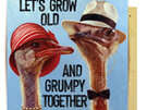La La Land - Let's Grow Old & Grumpy Together Anniversary Card