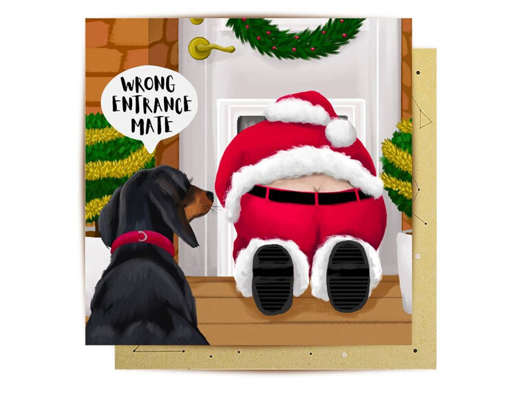 La La Land Wrong Entrance Christmas Card dog santa dog flap
