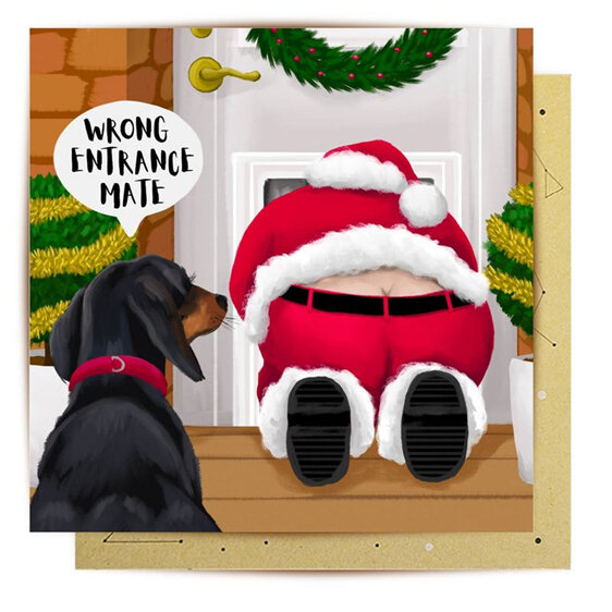 La La Land Wrong Entrance Christmas Card dog santa dog flap