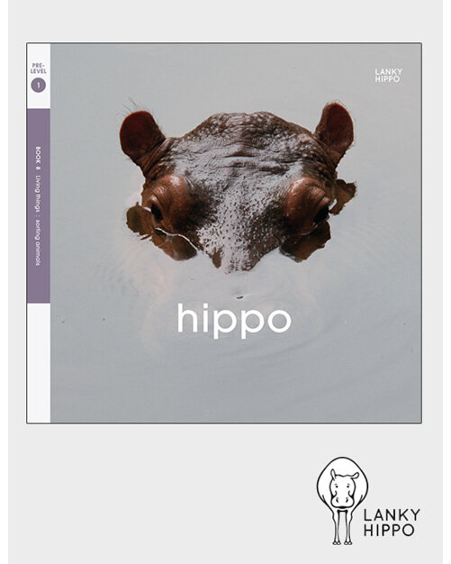 Lanky Hippo. Buy online from Edify