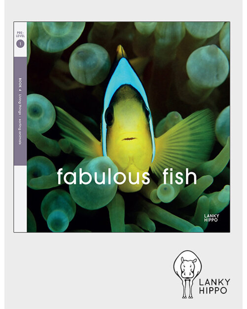 Lanky Hippo - Fabulous Fish. Buy online from Edify.