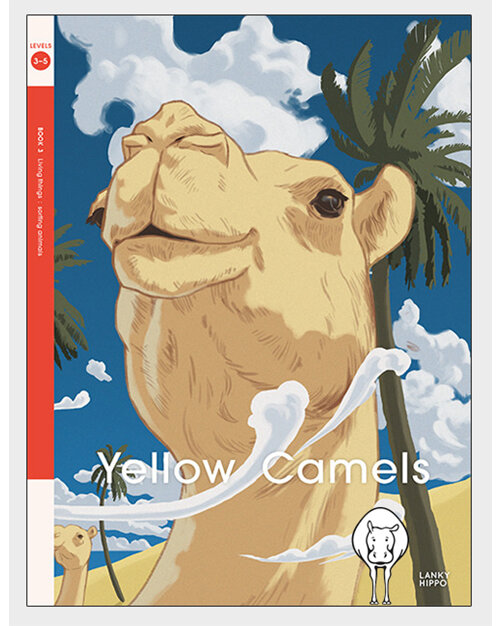 Lanky Hippo L3-5 Yellow Camels
