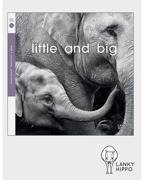 Lanky Hippo - Little and Big. Buy online from Edify.