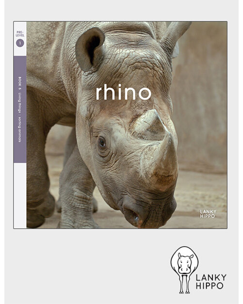 Lanky Hippo - Rhino. Buy online from Edify.