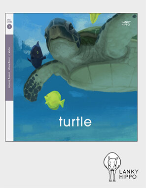 Lanky Hippo - Turtle. Buy online from Edify.