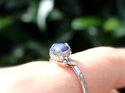 Lapis Lazuli blue gemstone sterling silver reef ring lily griffin nz jeweller