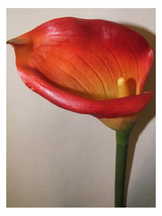 large headed calla lily orange  silk artificial fake not real